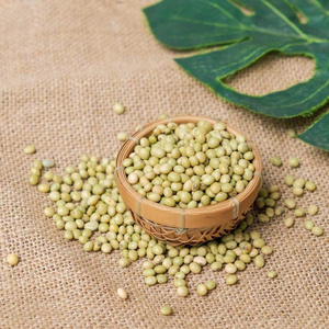 ถั่วเหลืองเขียวคั่วมาตรฐานส่งออก แบบเมล็ดเต็ม รับผลิตแบบ OEM ODM บรรจุภัณฑ์ตามสั่ง จำหน่ายจำนวนมาก - Product Image 2