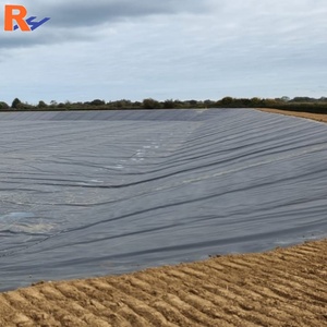 Geomembrana de HDPE de 2.0 mm de Alta Resistencia y Anti-Filtraciones para Estanques de Biogás Industriales y Laguna de Aguas Residuales - Product Image 5