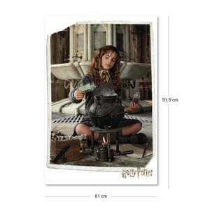 Modern Style for Harry Potter <b>Poster</b> of Hermione Made of Paper - Product Image 5