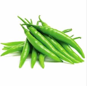 พริกเขียวสดสำหรับสัญญาจัดซื้อผักจำนวนมาก - Product Image 3