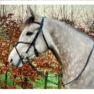 OEM ODM บังเหียนม้าขี่ม้าเบาๆเบาะอย่างเต็มที่ havana สีขาวเย็บแบบตะวันตกสายรัดคางหนังสีขาวแฟนซี - Product Image 6