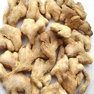 JENGIBRE SECO PRECIO AL POR MAYOR/PRODUCTOS AGRÍCOLAS JENGIBRE SECO EN VIETNAM - Product Image 4