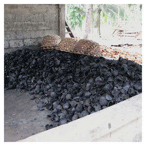 Cáscara de coco Carbonización Biochar Npk Fertilizante Carbón activo Vegetal Biochar Precio por tonelada - Product Image 2
