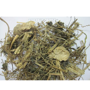 Annona Glabra seca de alta calidad de Vietnam, producto agrícola de primera calidad a la venta - Product Image 2