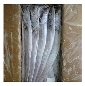 BQF Frozen fresh whole round ribbon <b>fish</b> for sale - Product Image 4