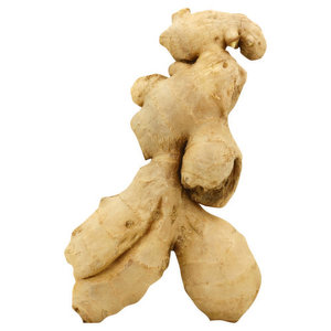 Fresh Ginger from Vietnam with Export Standard