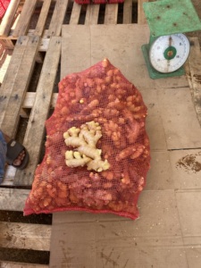 Proveedor de Vietnam, jengibre fresco, nueva cosecha 2024 con alta calidad y mejor precio para venta al por mayor - Product Image 6