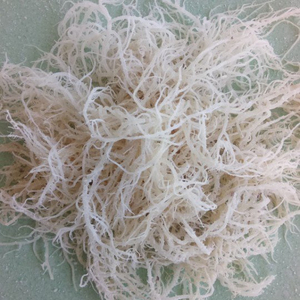 LE MEILLEUR PRIX CHOIX MOUSSE DE MER DE HAUTE QUALITÉ FABRIQUÉE AU VIETNAM - Product Image 2