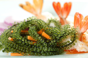 ไข่ปลาคาเวียร์เขียวสดสับละเอียด 100% ผลิตจากสาหร่ายโนริธรรมชาติ สายพันธุ์องุ่นทะเลเวียดนาม คุณภาพส่งออก สำหรับผู้จัดจำหน่ายและผู้นำเข้าอาหารทะเล - Product Image 1