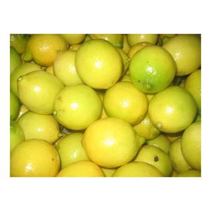 Citrons en vrac, fruits frais de première qualité, agrumes mûrs, récolte fraîche, saveur acidulée, fournisseurs en gros, qualité d'exportation - Product Image 1