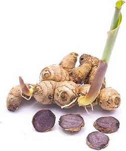 Chất lượng cao khô gừng Đen/Hữu Cơ Việt gốc/một phương thuốc thảo dược mạnh mẽ - Product Image 6