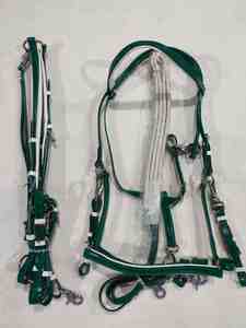 Bridon en cuir durable conçu pour les cavaliers professionnels, offrant un confort durable et un contrôle supérieur du cheval - Product Image 2