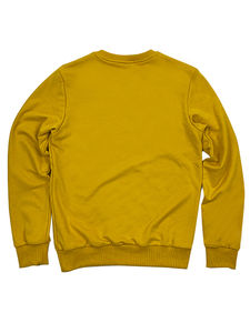 Mode en gros hommes vierge surdimensionné col rond sweat pull Premium 100% coton sweats à capuche personnalisés et sweat - Product Image 4