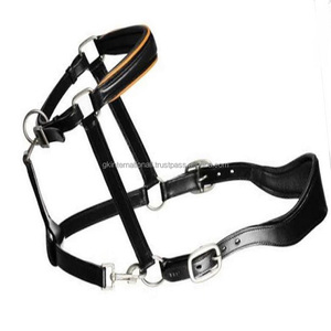 Licou de cheval en cuir anatomique noir robuste de haute qualité avec rembourrage doux de luxe cousu et accessoires en laiton nickel - Product Image 3