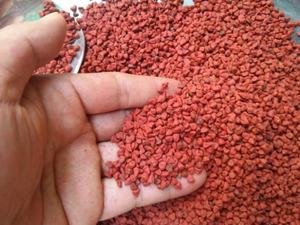 "Golden Flame Annatto Seeds Nature Vibrant Cadeau des Hautes Terres du Vietnam" - Product Image 5