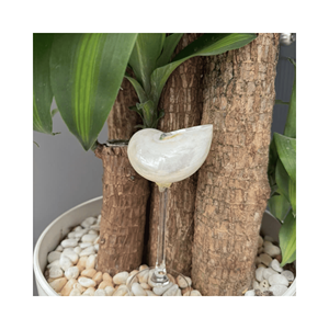 Taza artística de cristal con diseño de concha marina, material: concha natural; uso: para eventos temáticos; hecho a mano en Vietnam, producción en serie - Product Image 3