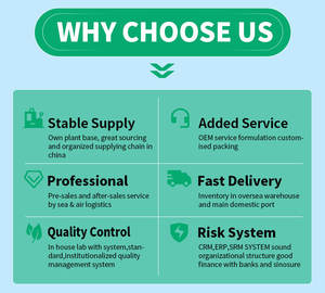 アイルランドの海のモスパウダーOEM高品质の植物パウダー - Product Image 4