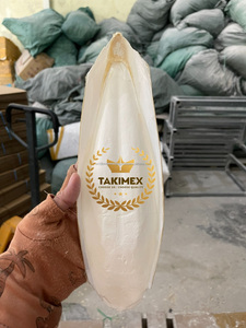 Os de seiche naturel pour escargots Os de seiche de qualité supérieure Os de sépia pour tortues du Vietnam OEM emballage prix d'usine - Product Image 4