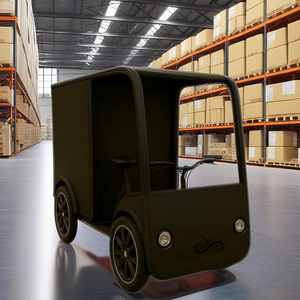 Bicicletta Elettrica da Carico a Quattro Ruote con Doppia Batteria da 250W, Grande Capacità, Vendita all'Ingrosso - Product Image 3