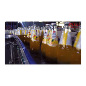 Boisson aux graines de basilic saveur grenade de haute qualité 290 ml, fabrication Rita, Belgique, durée de conservation de 2 ans - Product Image 4