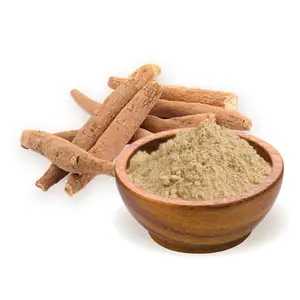 El polvo de raíz de Ashwagandha puro natural, polvo de extracto de salud, polvo de raíz de Ashwagandha es un tesoro herbal