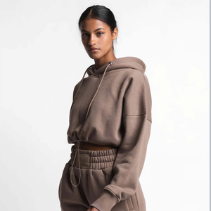 Vente en gros boutique vêtements pour femmes couleur unie à manches longues pull court sweat femme à capuche coton sport streetwear - Product Image 5