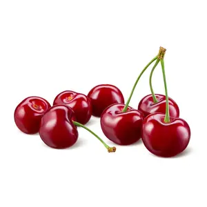 Fresh Sweet Cherries Ready For Harvest