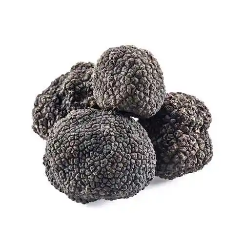 Jamur truffle hitam Harga Murah jamur dapat dimakan kering