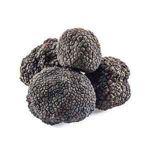 सस्ते कीमत काले Truffles मशरूम सूखे खाद्य मशरूम