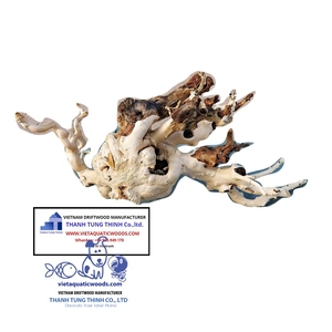 Décoration d'aquarium en bois flotté naturel de qualité supérieure, forme irrégulière, écologique, ornement pour aquarium fabriqué au Vietnam - Product Image 3