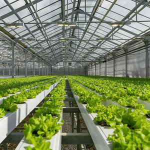 Nông nghiệp dọc hệ thống thủy canh nft kênh PVC Ống hydroponics hoàn chỉnh hệ thống thủy canh rau diếp phát triển hệ thống - Product Image 2