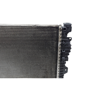 Radiador de Agua para Jaguar E-Pace Serie GJ32-8005-BB 204DT Diésel 2000 (17>) - Product Image 3