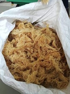 BEST SELLER - ALGUE LAVERT OR PREMIUM // MOUSSE DE MER SÉCHÉE DE QUALITÉ SUPÉRIEURE DU VIETNAM // Mme Beatrix - Product Image 4