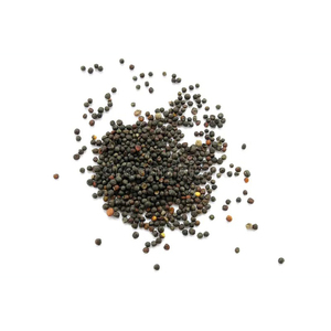 Venta al por mayor de semillas de canola a granel aptas para uso agrícola y alimentario - Product Image 1