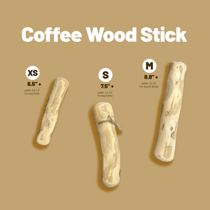 200-700 gr Vietnam OEM/ODM café madera perro masticar nuevo juguete natural superior sin productos químicos en paquete de cartón - Product Image 6