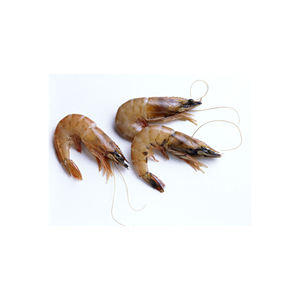 กุ้ง vannamei แช่แข็งสดใหม่สำหรับการจัดหาและการค้าอาหารทะเลจำนวนมาก - Product Image 5