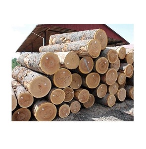 <b>Oak</b> Wood Round Logs for Furniture Making - Top Quality, Competitive Price - Product Image 6