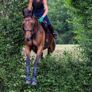 Guantes ecuestres estampados de verano e invierno, guantes protectores de cuero para montar a caballo para hombres, mujeres y niños para montar al aire libre a diario - Product Image 5