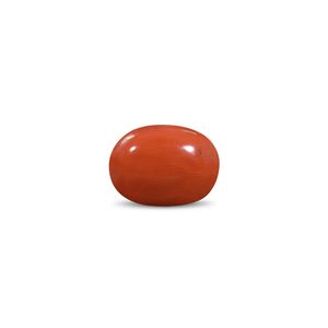 Coral Rojo Natural de 8.99 Quilates, Forma Ovalada, Certificado IGI para Uso en Joyería, 10 mm de Alto y 3 mm de Ancho - Product Image 1