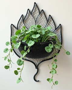 ที่แขวนกระถางต้นไม้แบบมีสายเคลือบด้วยผงเหล็กหล่อรูปทรงดอกไม้ทันสมัยสำหรับตกแต่งบ้านและสวน WBPL349A - Product Image 1