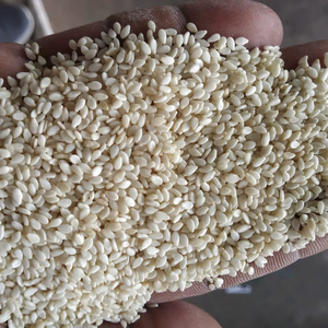 Sésamo Tostado en Seco de Alto Aroma, Distribución al por Mayor a Granel para Importadores y Marcas Internacionales, 18 Toneladas Métricas por Contenedor - Product Image 1