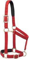 CABALLO EQUINO NYLON/ PP HALTER ACCESORIOS PERSONALIZADOS TODOS LOS TAMAÑOS VARIOS COLORES MONTA A GRANEL CABALLEROS INGLES DE LA INDIA