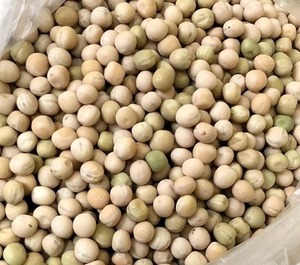 Pois secs naturels ou pois blancs pour des repas végétariens riches en protéines, régime végétalien et recettes traditionnelles au meilleur prix du marché - Product Image 5