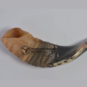 ชอฟาร์ทำมือจากเขาธรรมชาติสำหรับชาวยิว ใช้สำหรับการสวดมนต์ การเล่นดนตรี และพิธีกรรม - Product Image 2