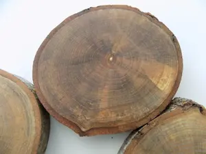 Dessous de verre en bois naturel, écorce d'arbre rustique, pour boissons, centres de table de mariage - Product Image 5