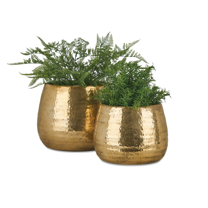 ตามที่แสดง