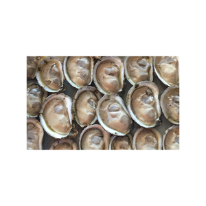 Purificateur d'huîtres naturelles fraîches approvisionnement en vrac huîtres premium bon marché en gros - Product Image 2