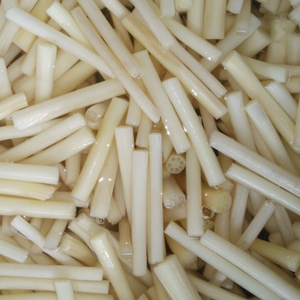 RAÍZ DE LOTO ENMELIZADA PREMIUM PARA ENRUTERAS SALUDABLES Y REFRIGERANTES EN SALADAS Y COMIDAS DIARIAS - Product Image 1