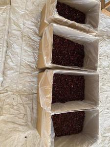 ผ้าพันคอและผ้าคลุมไหล่ลายชนเผ่าแบบผ้าแคนวาส ประดับด้วยดอกชบาอียิปต์แห้งคุณภาพสูง พร้อมลวดลายโบว์ - Product Image 3