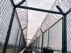 Fil de fer <span class=keywords><strong>barbelé</strong></span>, <span class=keywords><strong>barbelé</strong></span> anti-oiseaux, lames de protection, épines, fil de <span class=keywords><strong>barbier</strong></span> anti-escalade, fil de rasoir droit - Product Image 5